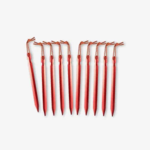 10 Piquets de Tente
