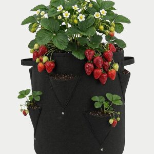 2 Sacs de plantation pour les Fraises